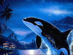 Orque - Orca